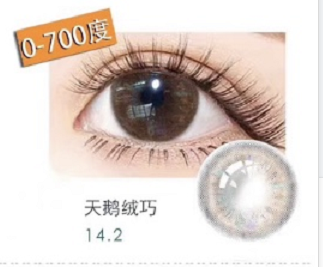 MiaoMou yearly Contact Lenses Velvet chocolate(2pcs/box)